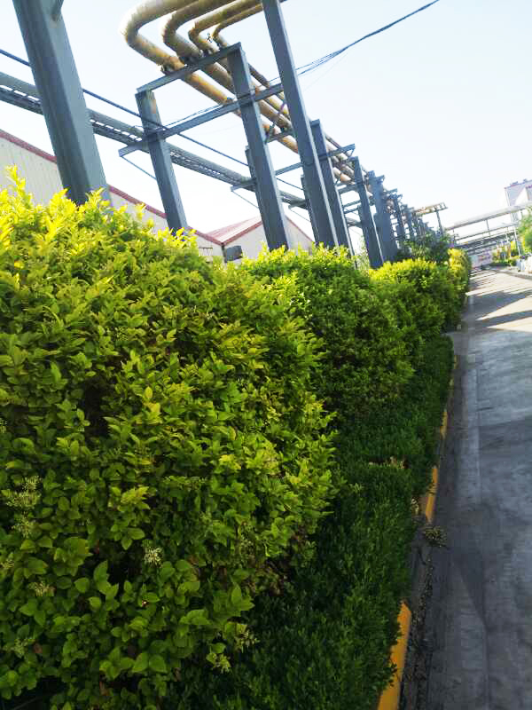 綠色花園工廠(圖1)