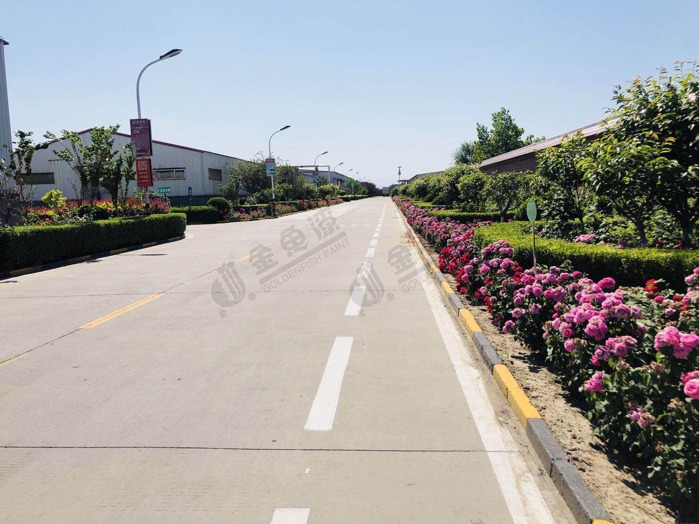 綠色花園工廠(圖6)